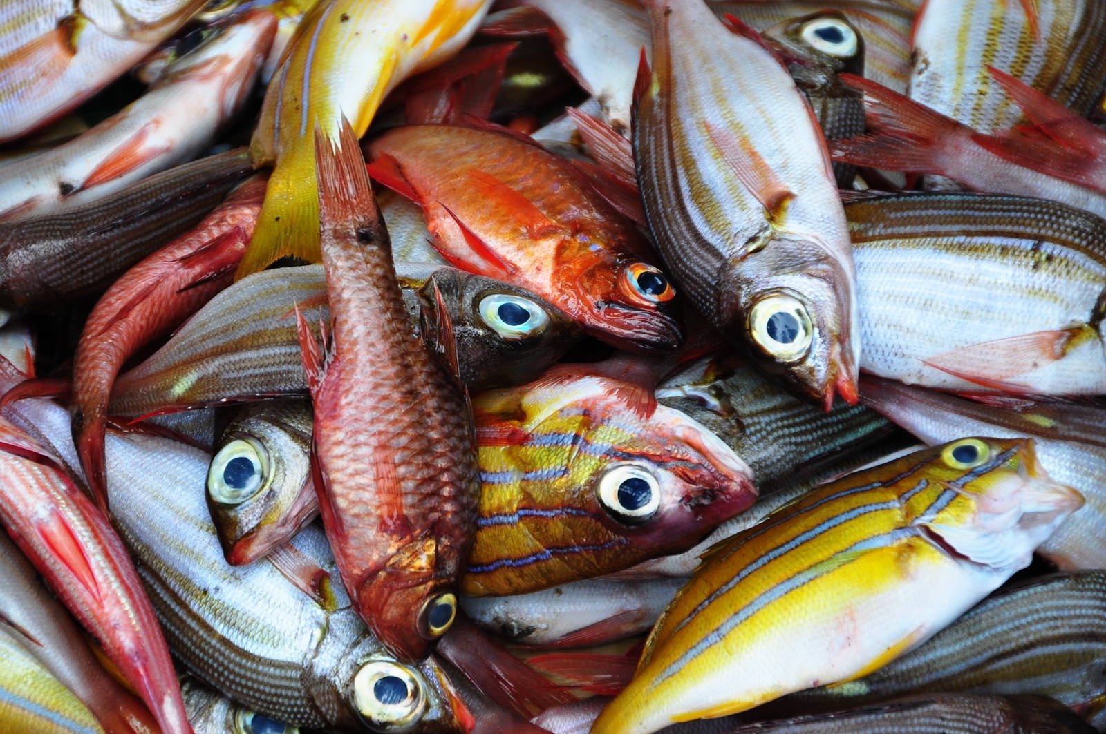 Gastronomy in Comoros