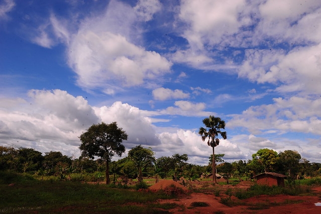 The Climate In Cameroon   Douala 